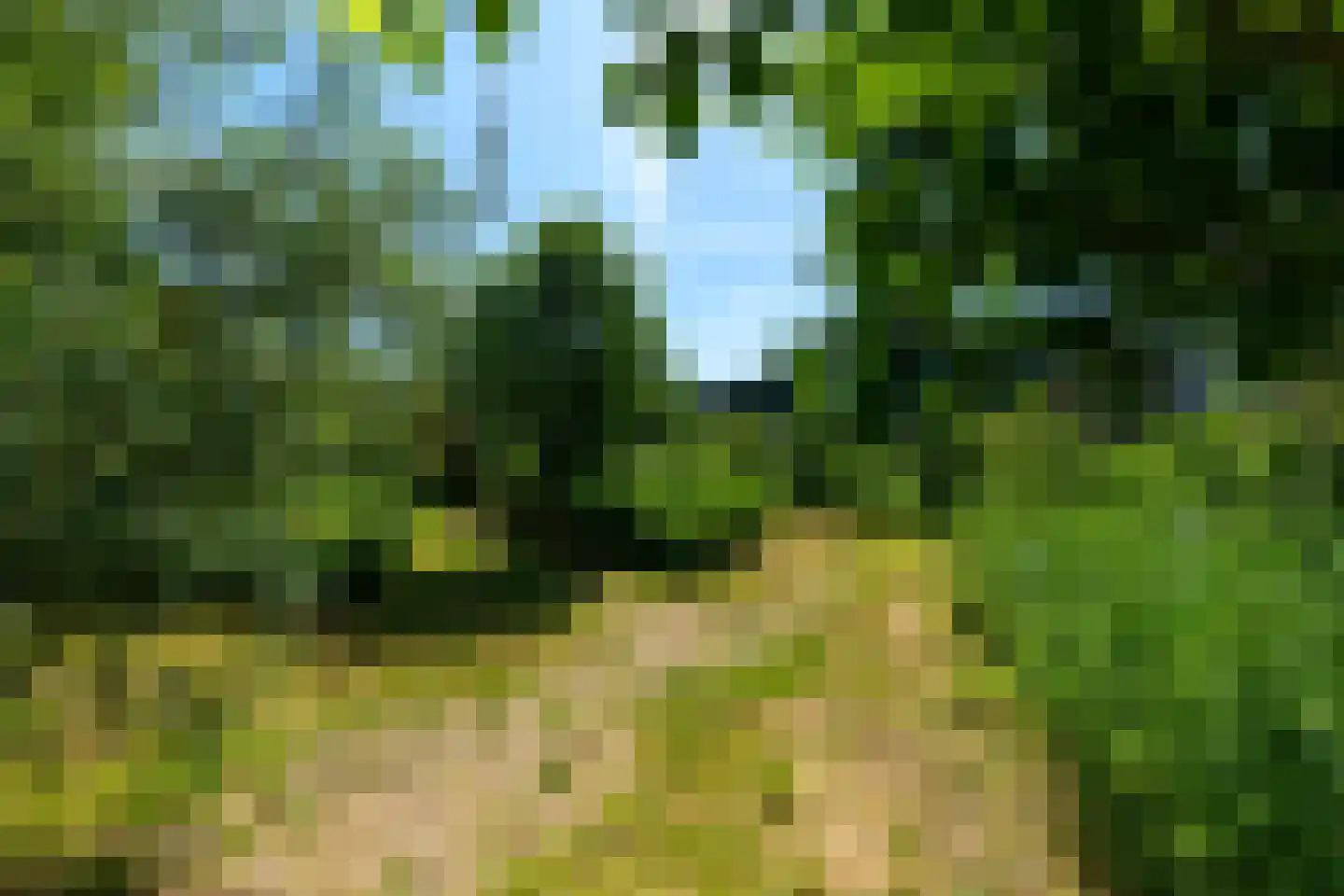 De Lange lont 11 Muiden thumbnail 42