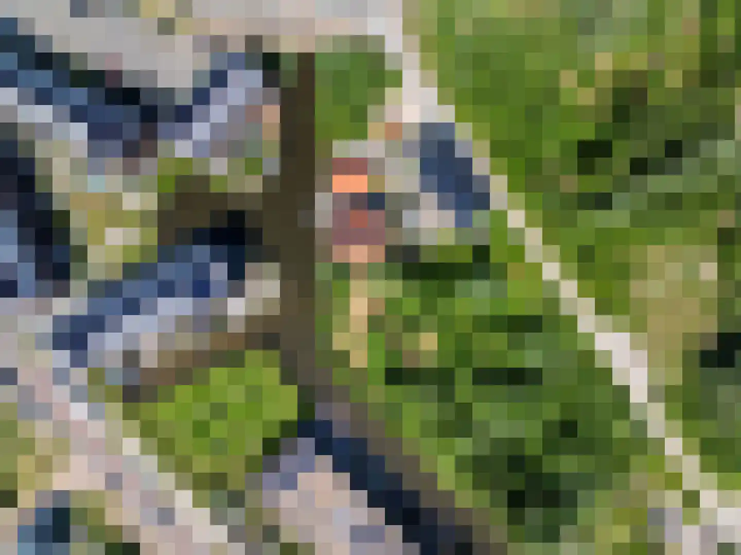 De Lange lont 11 Muiden thumbnail 46