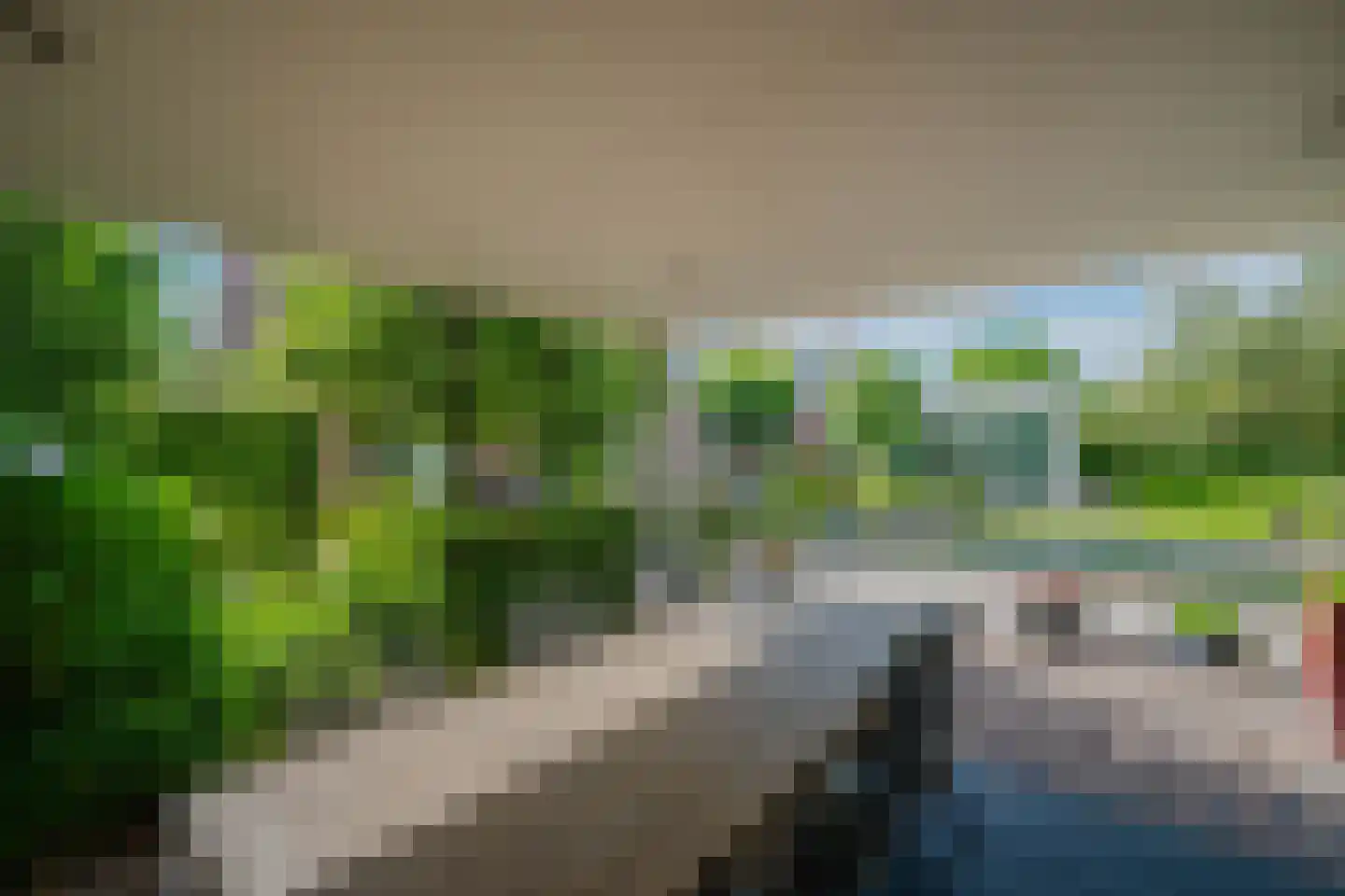 De lange Loop 36 Sint Anthonis thumbnail 48