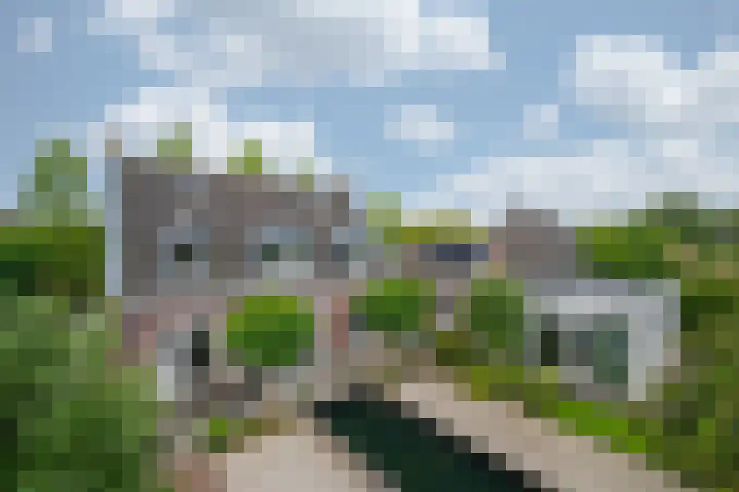 De lange Loop 36 Sint Anthonis thumbnail 54