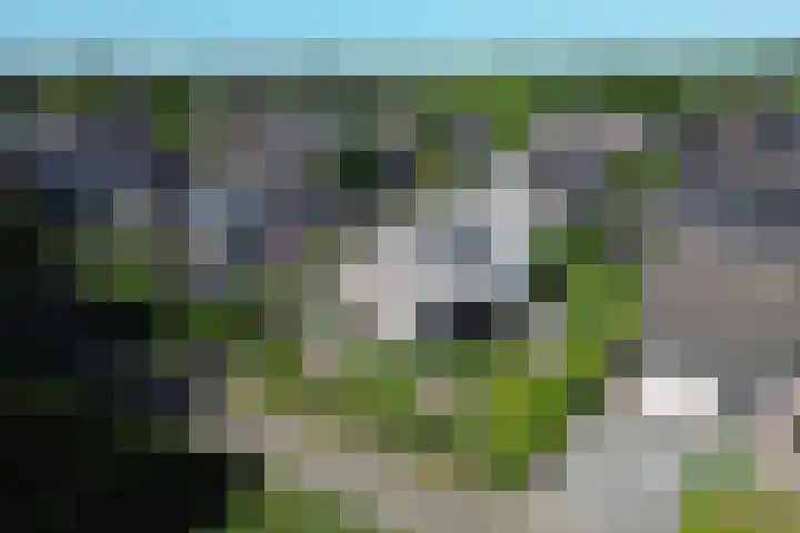 De Lange Maat 3 Ruinen foto 2