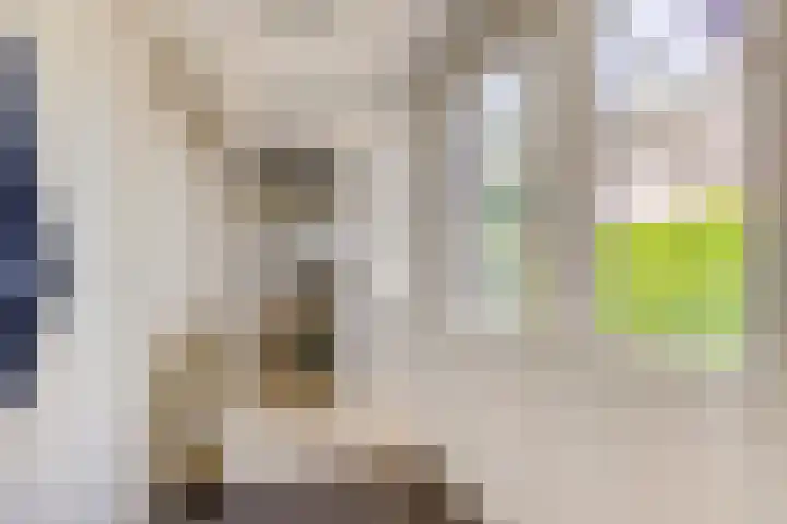 De Lange Maat 3 Ruinen thumbnail 21