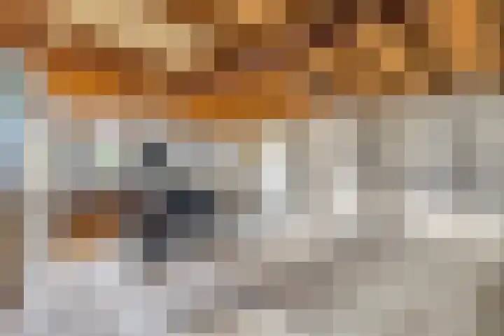 De Lange Maat 3 Ruinen thumbnail 23