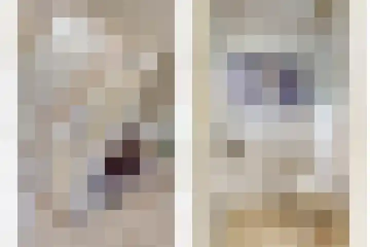De Lange Maat 3 Ruinen thumbnail 24