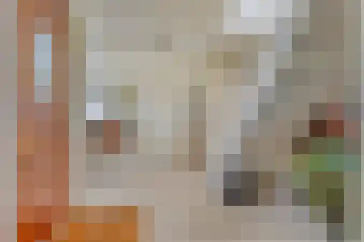 De Lange Maat 3 Ruinen thumbnail 25