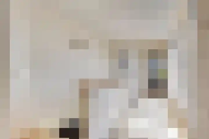 De Lange Maat 3 Ruinen thumbnail 26