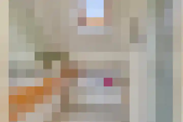 De Lange Maat 3 Ruinen thumbnail 31