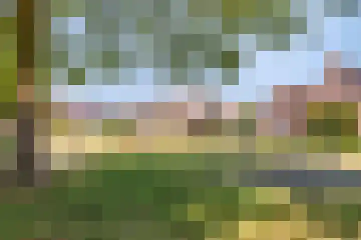 De Lange Maat 3 Ruinen thumbnail 46