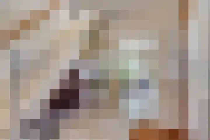 De Lange Maat 3 Ruinen thumbnail 5