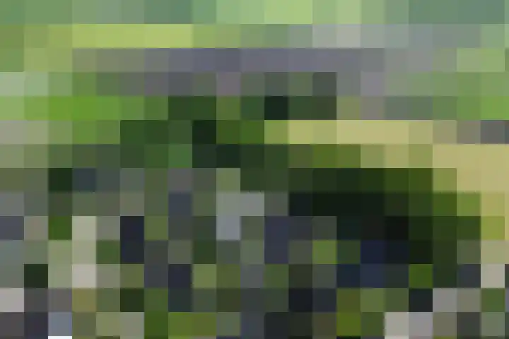 De Lange Maat 3 Ruinen thumbnail 51