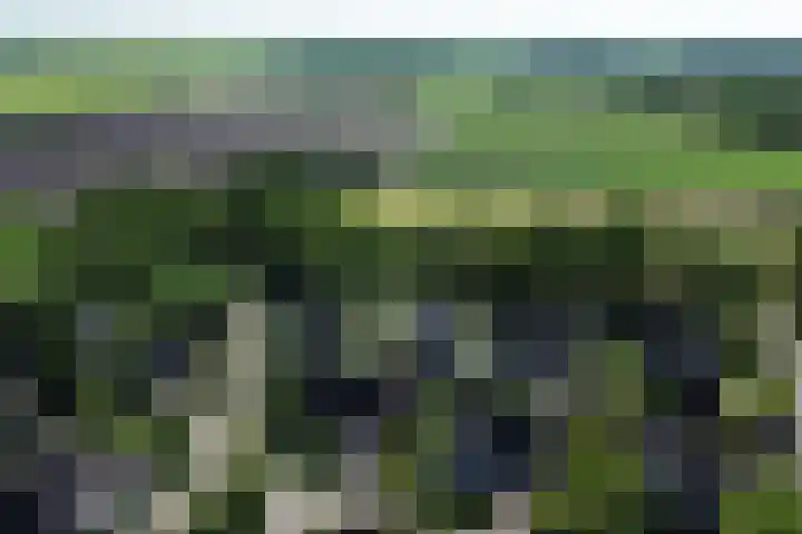 De Lange Maat 3 Ruinen thumbnail 52