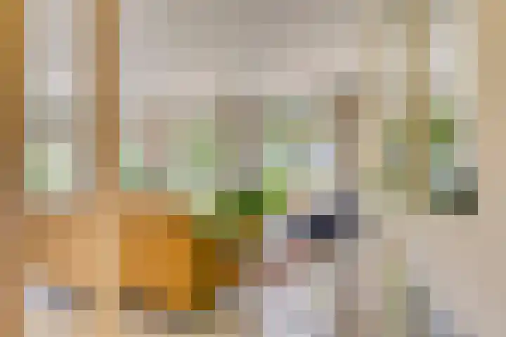 De Lange Maat 3 Ruinen thumbnail 6