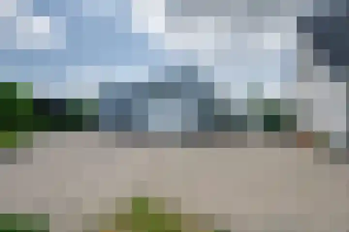 De Lange Meeten 2 Hoeven thumbnail 10