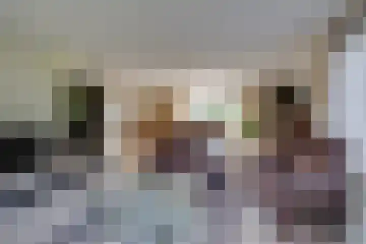 De Lange Meeten 2 Hoeven thumbnail 17