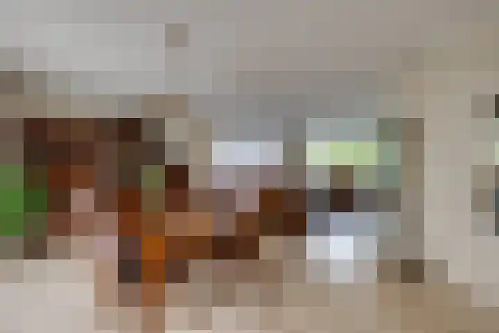 De Lange Meeten 2 Hoeven thumbnail 19