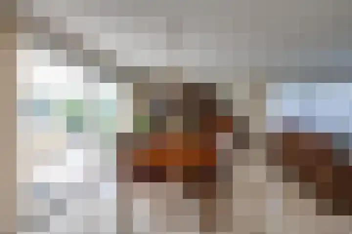 De Lange Meeten 2 Hoeven thumbnail 20