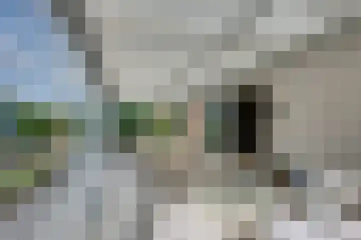 De Lange Meeten 2 Hoeven thumbnail 21
