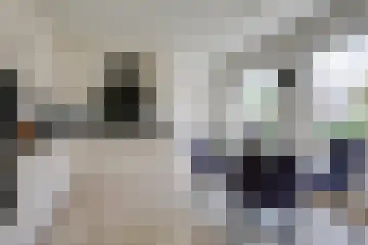 De Lange Meeten 2 Hoeven thumbnail 23
