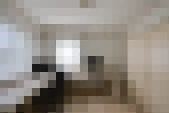 De Lange Meeten 2 Hoeven thumbnail 27