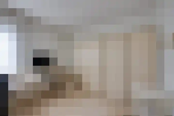 De Lange Meeten 2 Hoeven thumbnail 28
