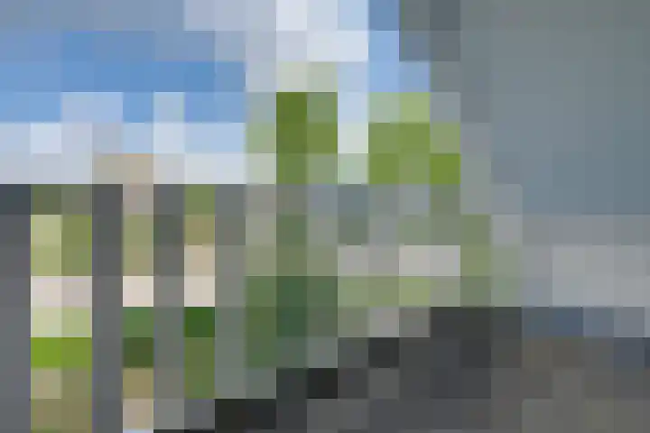 De Lange Meeten 2 Hoeven thumbnail 31