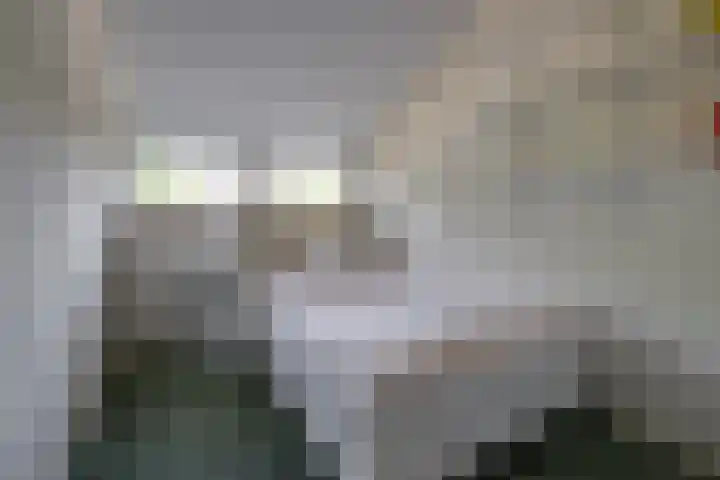 De Lange Meeten 2 Hoeven thumbnail 33