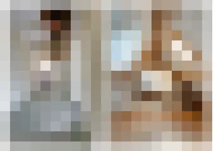 De Lange Meeten 2 Hoeven thumbnail 38