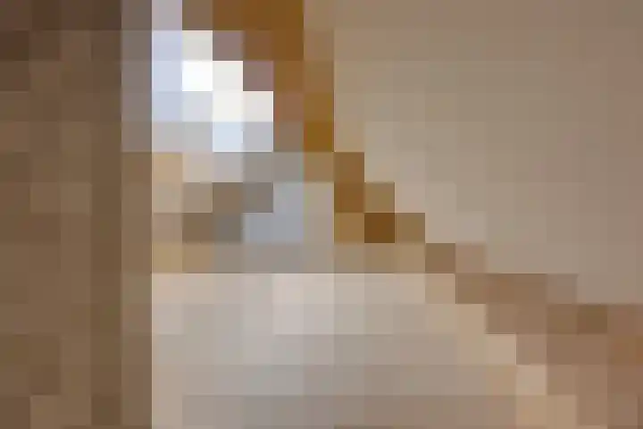 De Lange Meeten 2 Hoeven thumbnail 39
