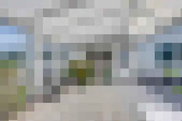 De Lange Meeten 2 Hoeven thumbnail 40