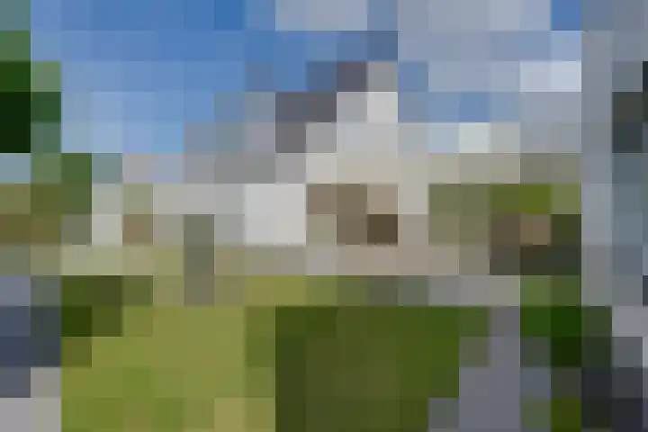 De Lange Meeten 2 Hoeven thumbnail 41