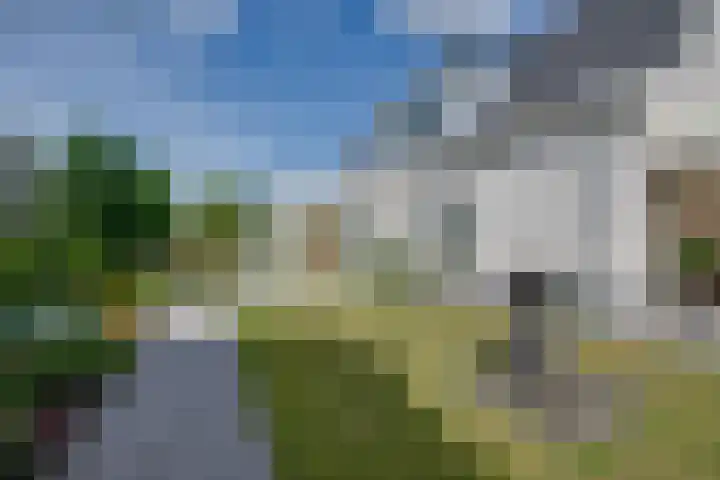 De Lange Meeten 2 Hoeven thumbnail 42