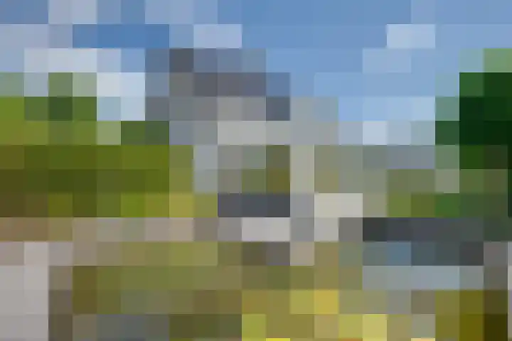 De Lange Meeten 2 Hoeven thumbnail 43