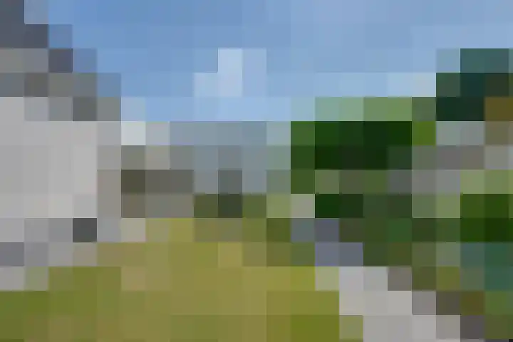 De Lange Meeten 2 Hoeven thumbnail 44