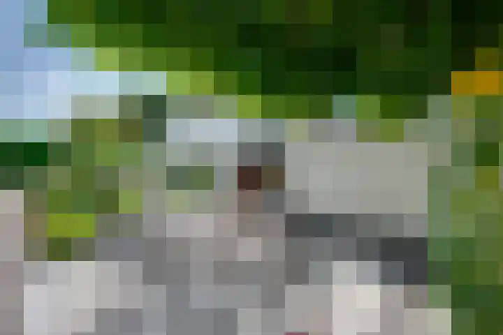 De Lange Meeten 2 Hoeven thumbnail 45