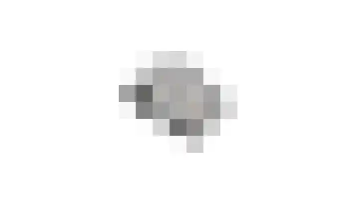 De Lange Meeten 2 Hoeven thumbnail 52