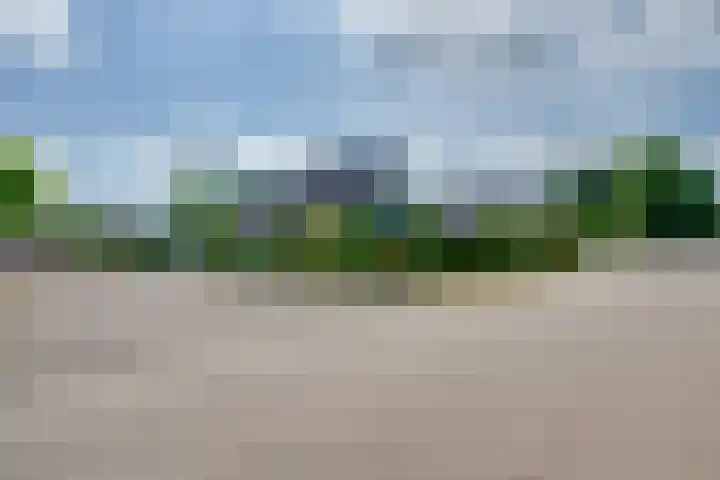 De Lange Meeten 2 Hoeven thumbnail 7