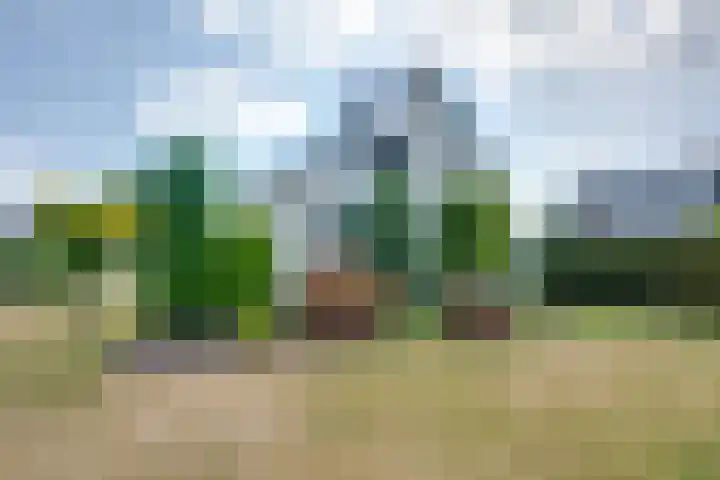 De Lange Meeten 2 Hoeven thumbnail 8