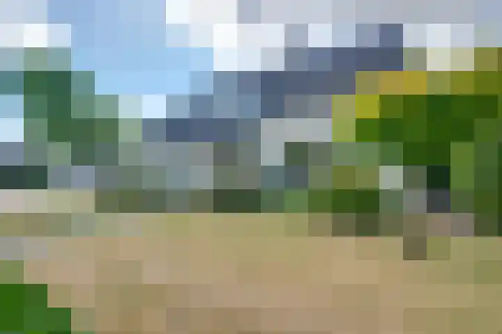 De Lange Meeten 2 Hoeven thumbnail 9