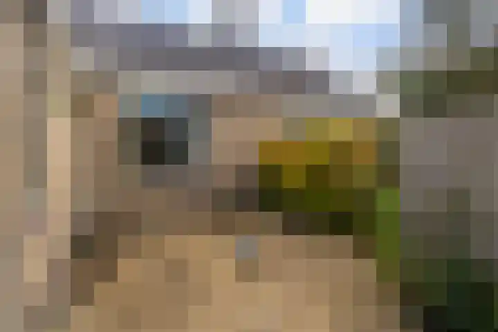 De Lange Schoor 5 Buitenpost thumbnail 21