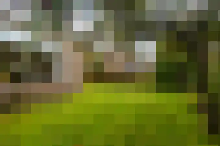De Lange Schoor 5 Buitenpost thumbnail 23