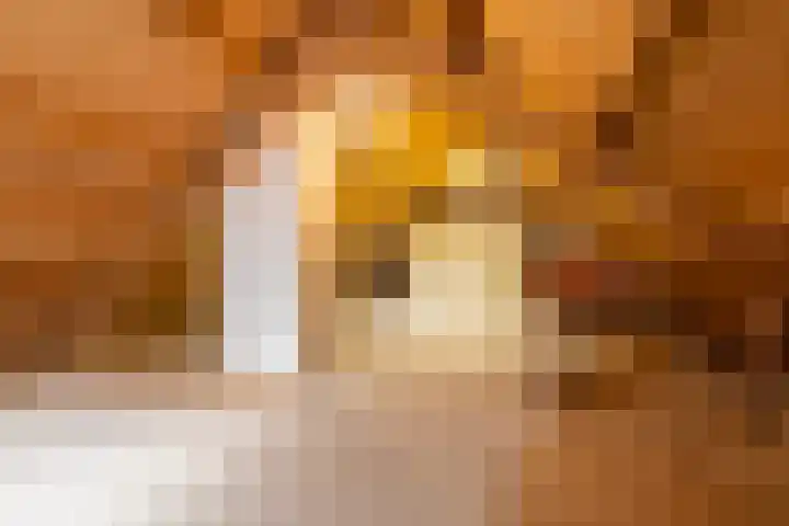 De Lange Schoor 5 Buitenpost thumbnail 35