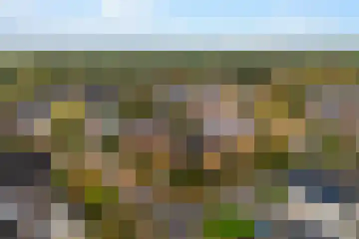 De Lange Schoor 5 Buitenpost thumbnail 40