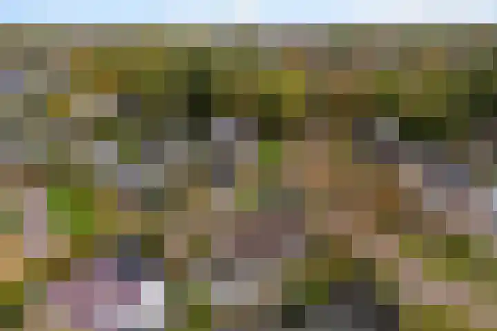 De Lange Schoor 5 Buitenpost thumbnail 44