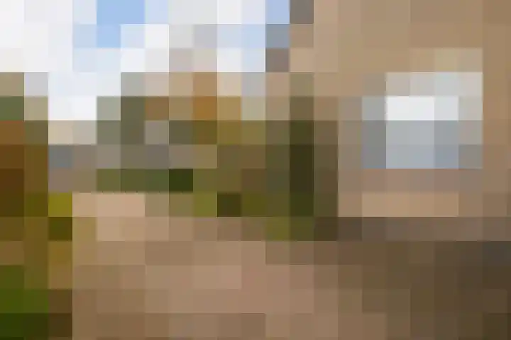De Lange Schoor 5 Buitenpost thumbnail 6