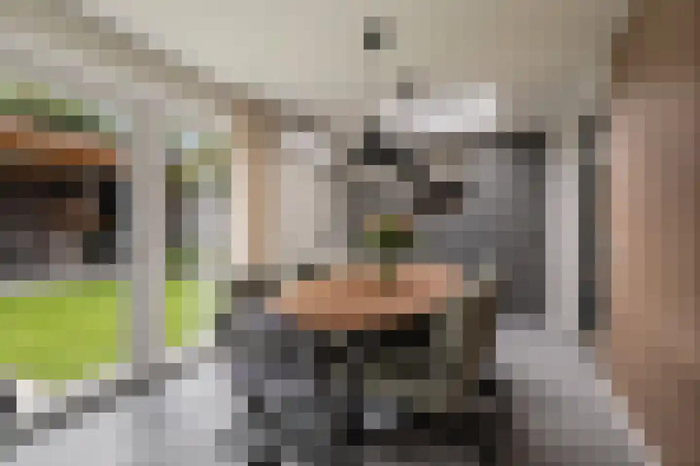 de Lange Slag 13 Heeten thumbnail 12
