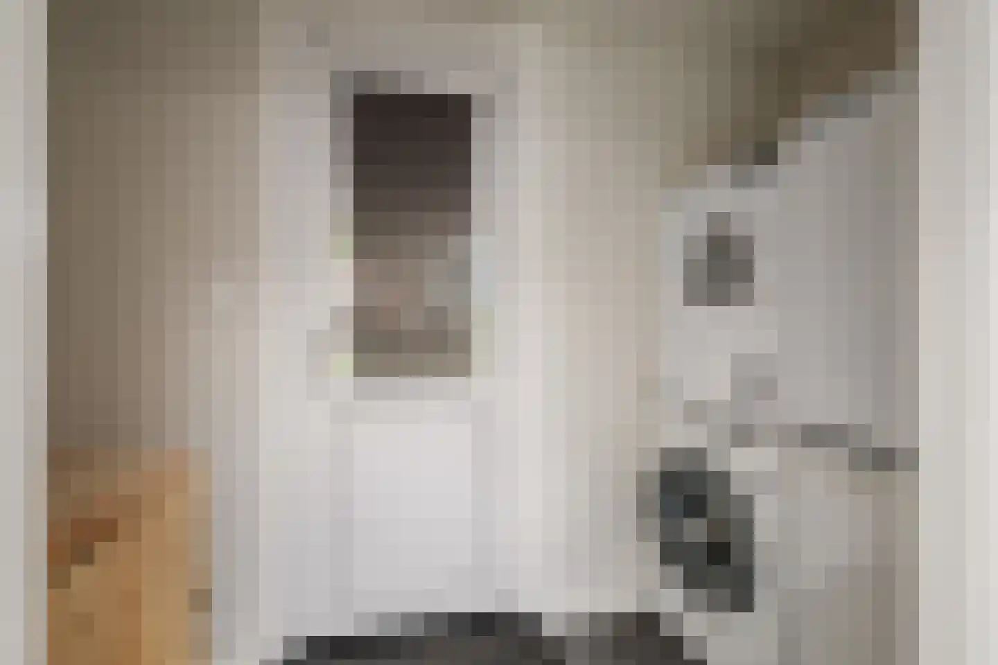 de Lange Slag 13 Heeten thumbnail 13