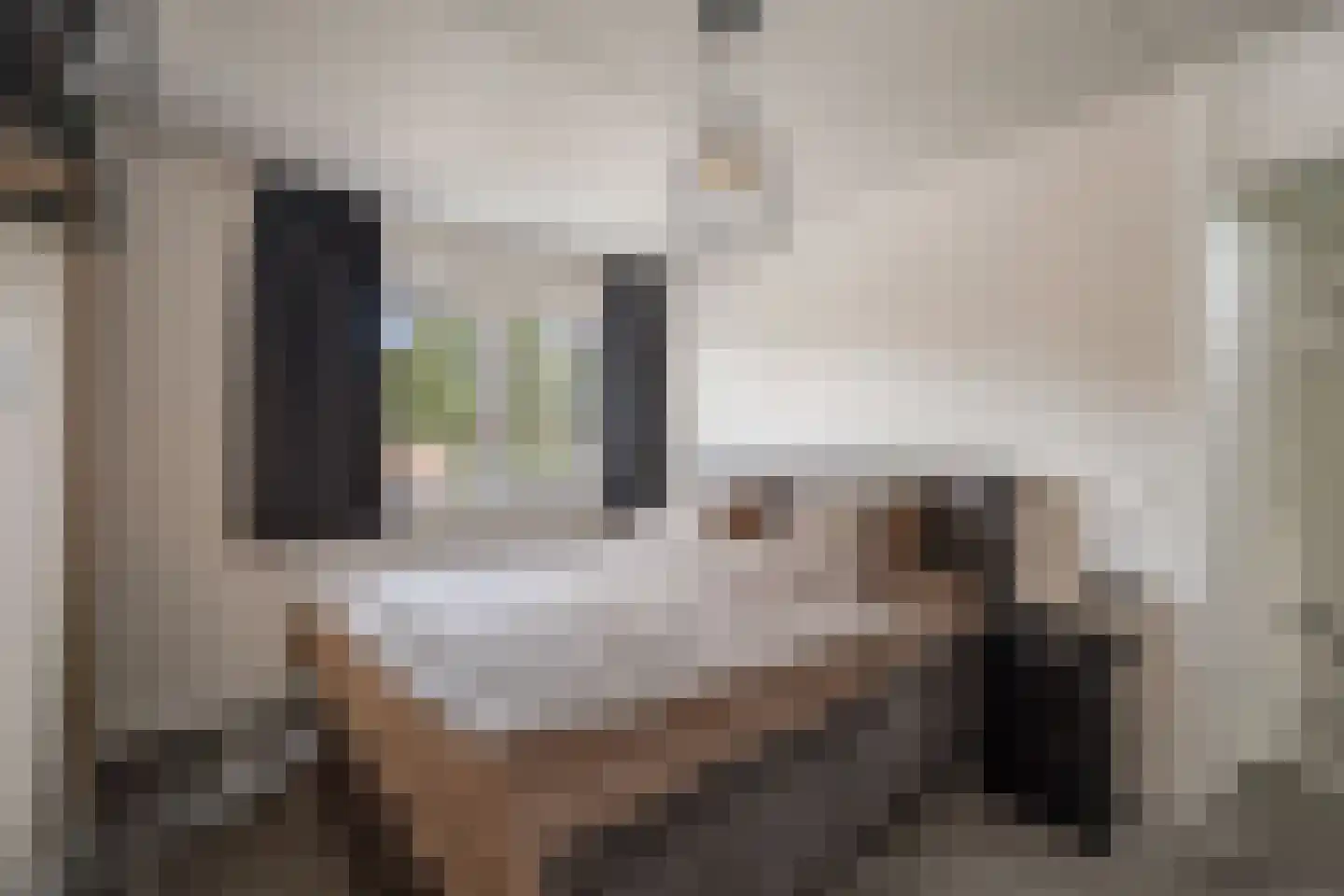 de Lange Slag 13 Heeten thumbnail 14