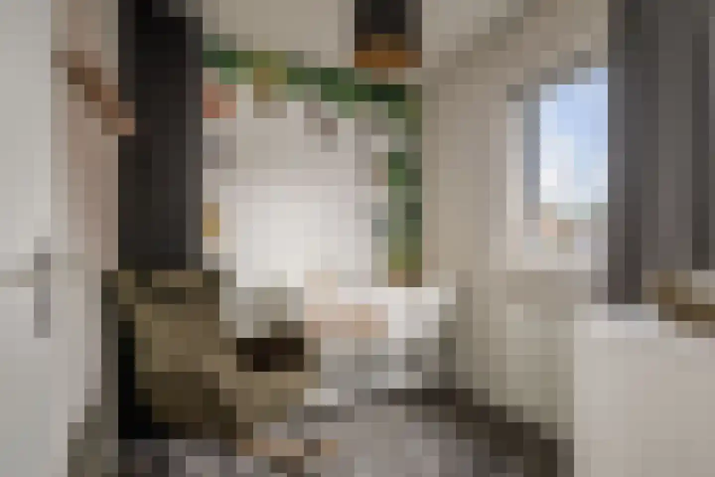de Lange Slag 13 Heeten thumbnail 16