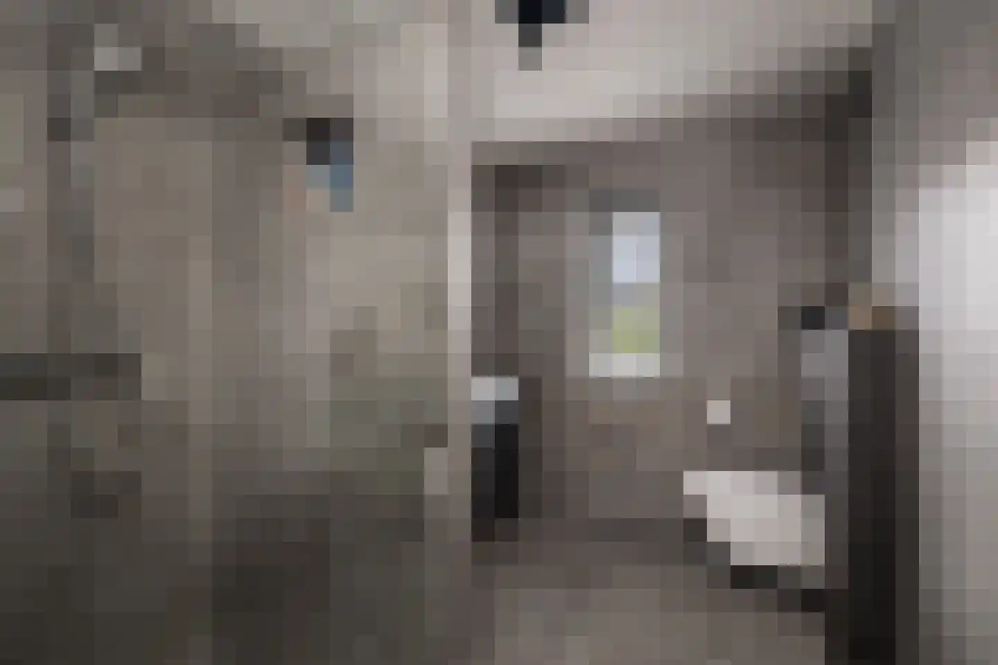 de Lange Slag 13 Heeten thumbnail 17