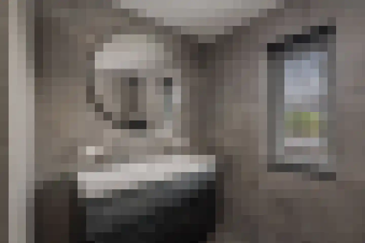 de Lange Slag 13 Heeten thumbnail 18